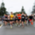 Jeroen Mattheus - physiotherapist and running coach - Kapiti Half marathon