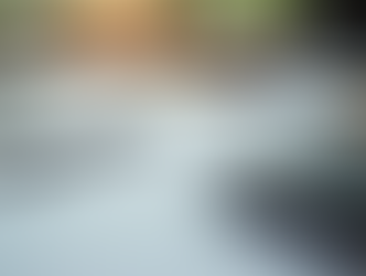 Maximize Your Tax Refund with Scott Tax Professionals