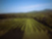 DJI_0204.jpg