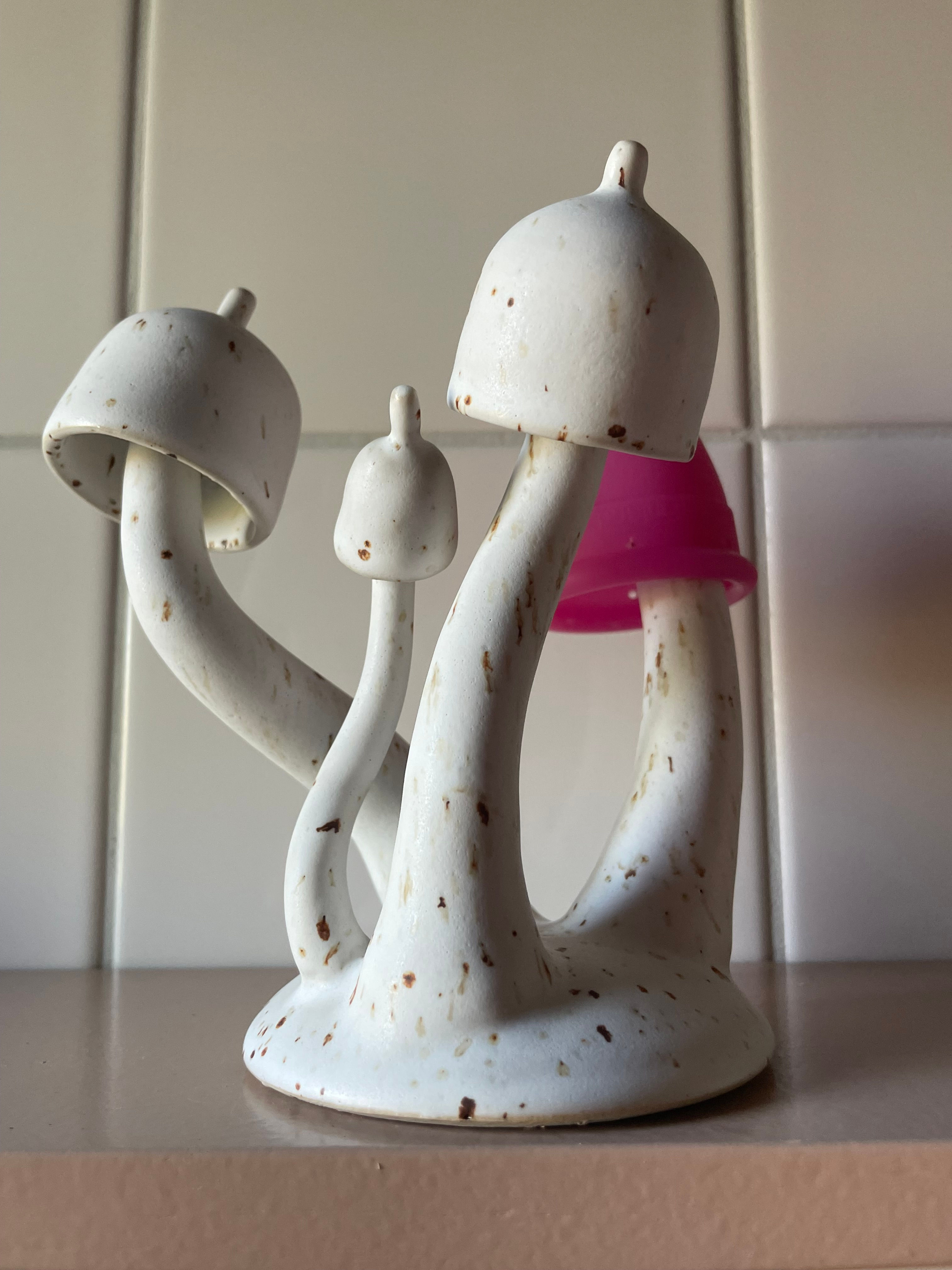 Koppsopp Menskopphållare