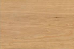 Blonde Blackbutt
