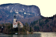 Lake Bled 🐟