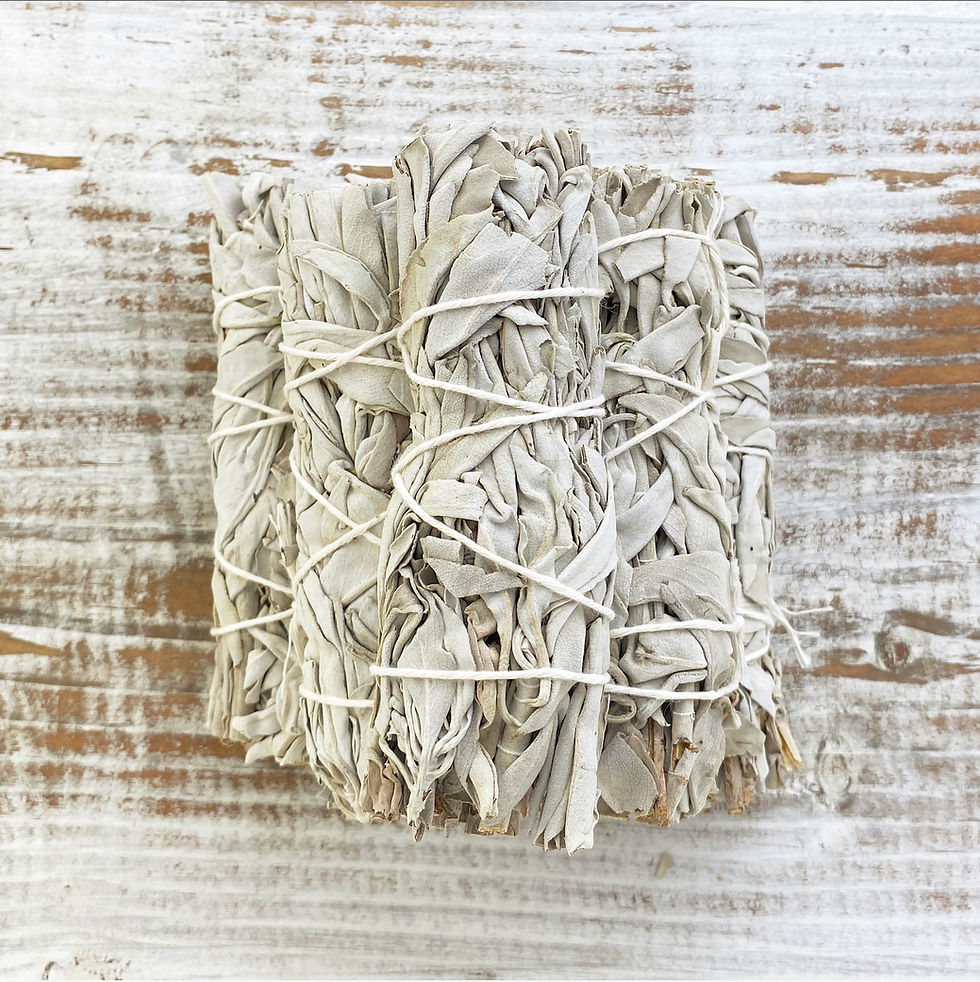 Thumbnail: Wholesale 4” Sage Bundle