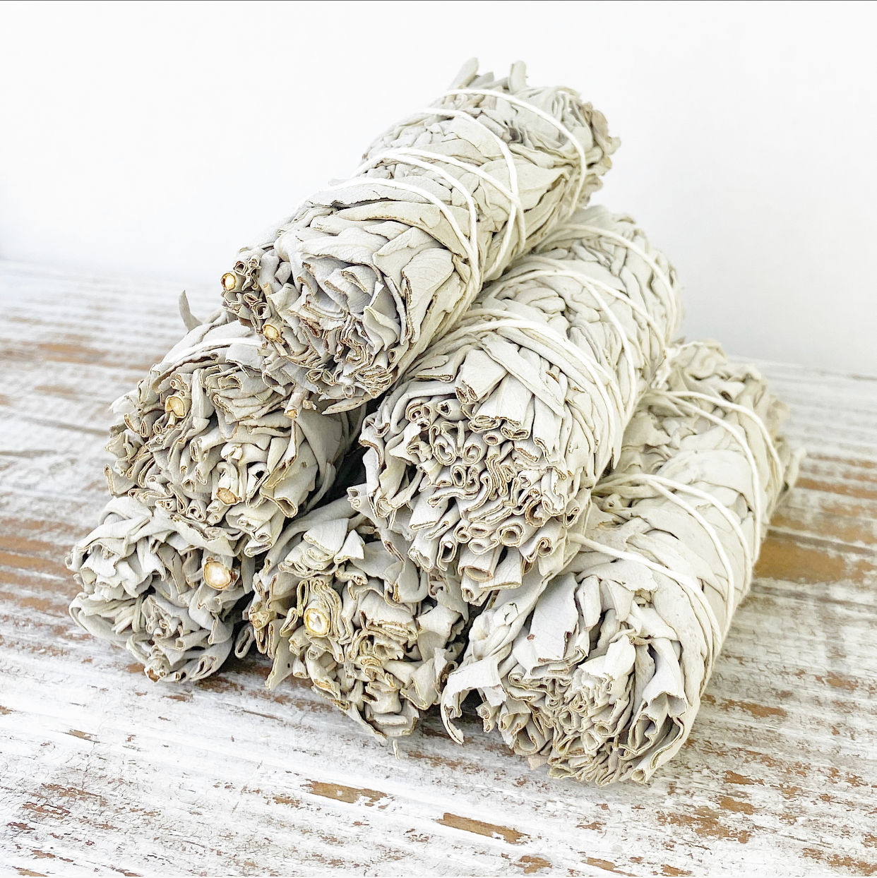 4” Sage Bundle