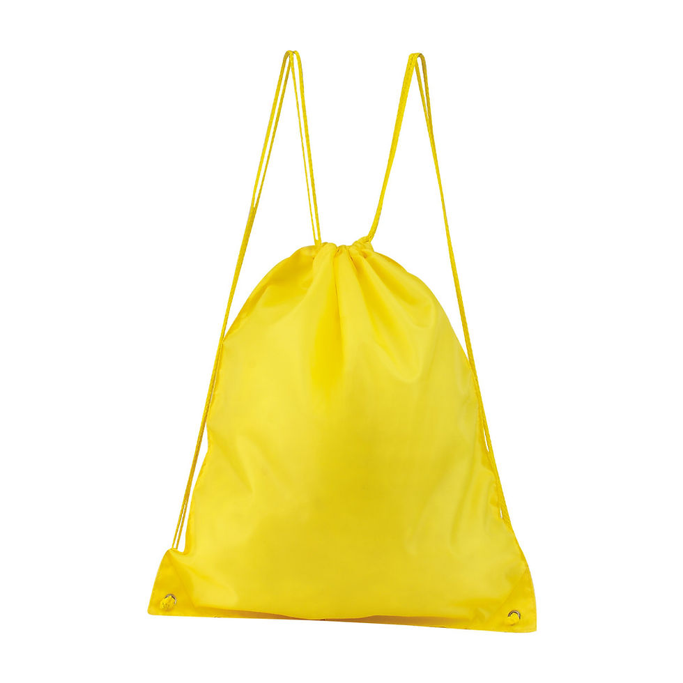 Miniatura: BOLSA-MOCHILA PRISMA