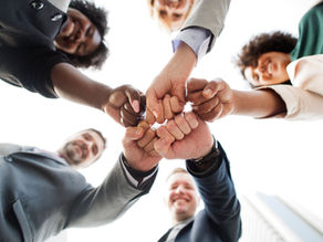 De portas abertas: o retorno da Universidade Besouro