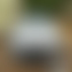 Mercedes 220 D | Stage 1 Remap | Reading, Berkshire