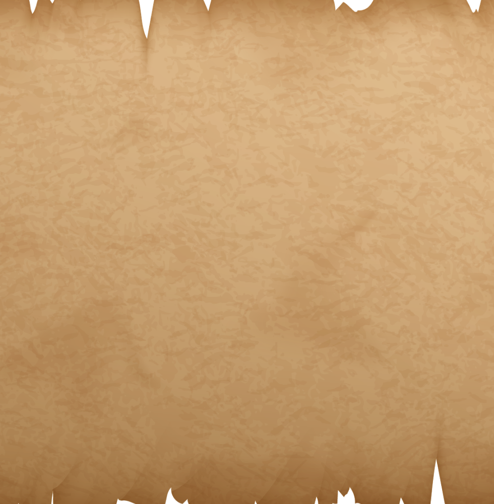 The_Curators_Bookshelf.png