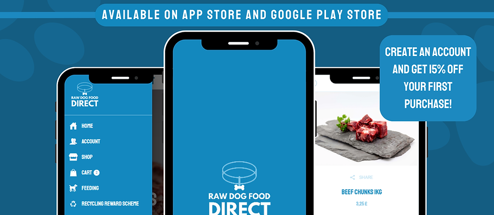 Available now! Link in bio!.png