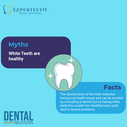 Experteeth new_Page 3