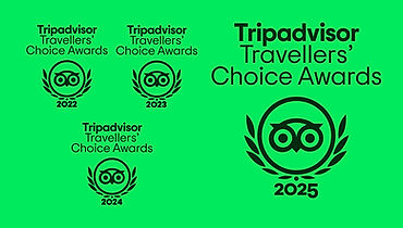 tripadvisor customers award