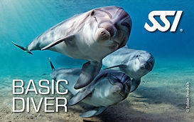 ssi basic diver program