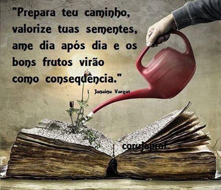 Os caminhos do futuro profissional
