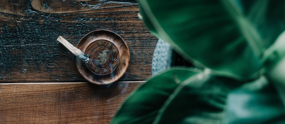 The Cleansing Power of Palo Santo: A Holistic Approach To Your Cleaning Ritual