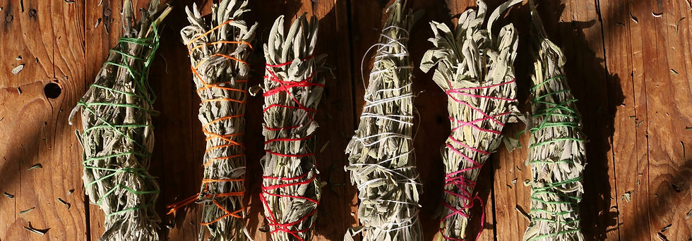 Sage Bunches