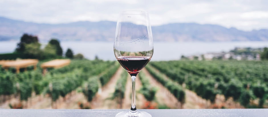 Decanting Wine: A Journey into Flavor Perfection