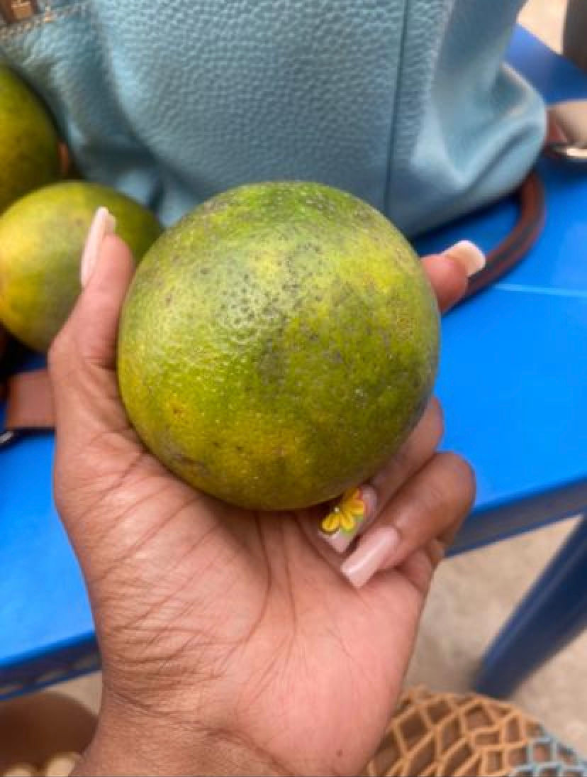 Thumbnail: Alkebulan Tours (November 1st-15th, 2023) Child Booking