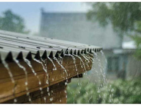 Sử dụng nước mưa như thế nào để an toàn?
