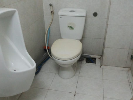 Đẩy bay mùi hôi nhà vệ sinh chung cư bạn nên biết