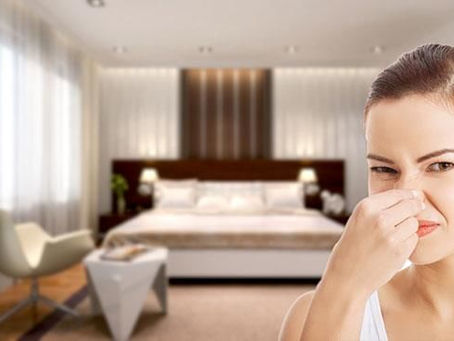 Nhà hoặc văn phòng bị ám bởi một mùi hôi không thể chịu được?