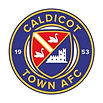 CTAFC White logo.jpg