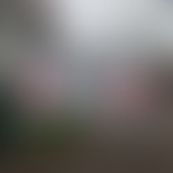 Présence rassemblement école Pierre Larousse