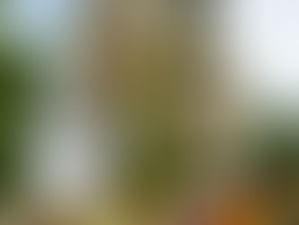 Quelques nouvelles !