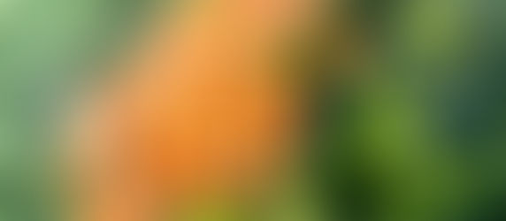 Consejos para conservar tus ingredientes y facilitar tus preparaciones