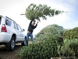 Recycle Your Christmas Tree