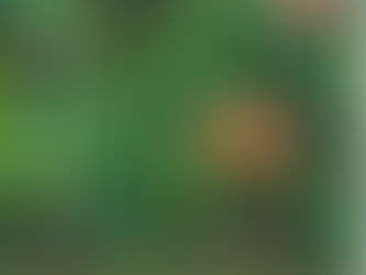 フォトワークショップ開催のお知らせ