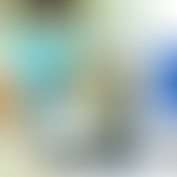 2024年 夏休み限定！イルカプログラム詳細発表🐬　天草でイルカの自由研究をしよう