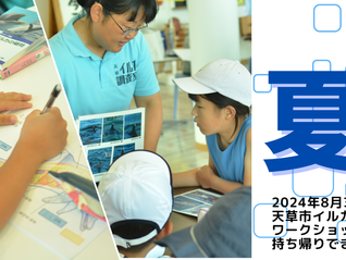 2024年 夏休み限定！イルカプログラム詳細発表🐬　天草でイルカの自由研究をしよう