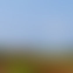 サイクリングツアー