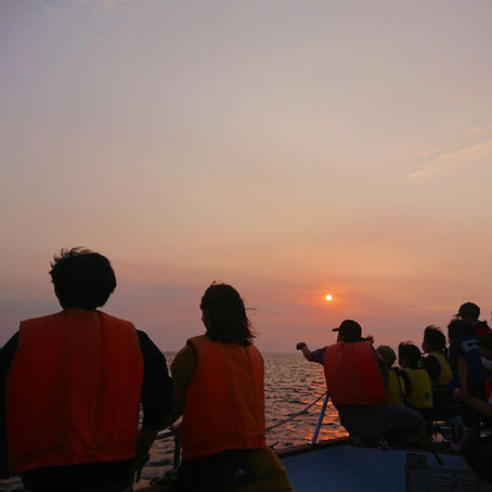 イルカウォッチングしながらサンセットツアー！？　あなたの運が試されちゃうかも、おススメ天草観光です