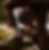 R6__3453.PNG