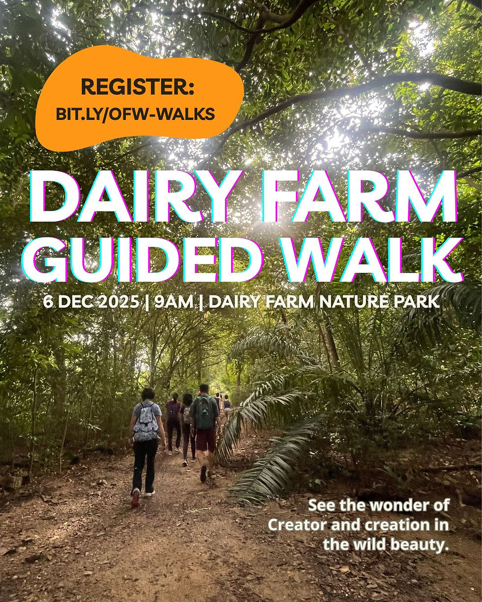 Dairy Farm Guided Walk