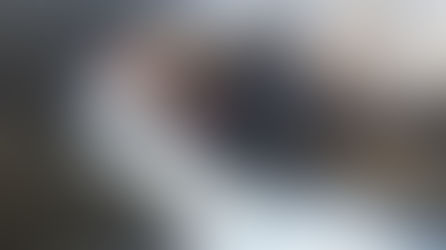 Incendio de la Primavera