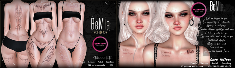 BEMIA