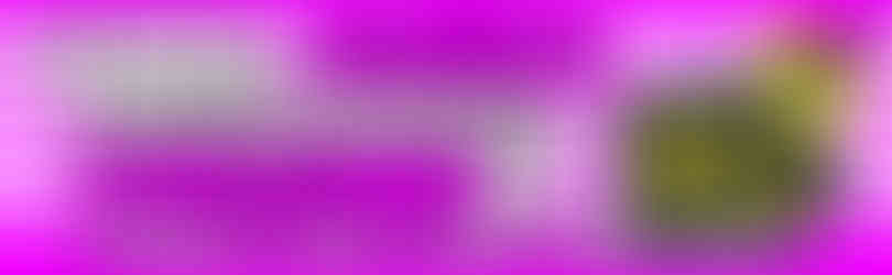 MOVE! Animations Cologne