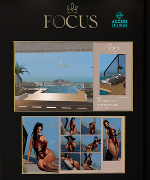 Focus