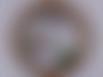 Dreamland Designs NEW Group Gift!!