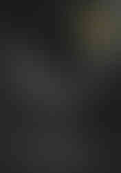 VOBE