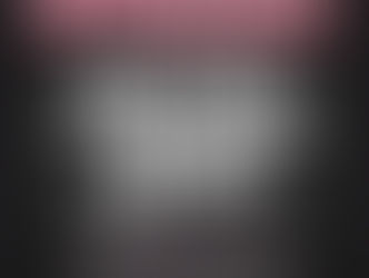 Palette Mainstore SALE - 50% OFF!!