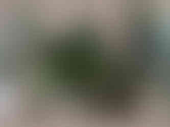 CANARUN