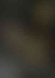 VOBE