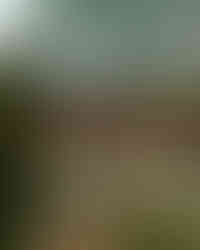 LAVIARA x BlankStudios