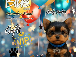 Free Group Gift at BLUE SL Event!!