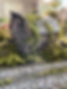IMG_1924 2.jpeg
