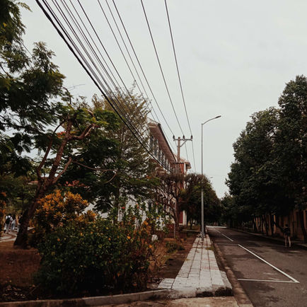 Nhật kí một ngày "trầm tư"