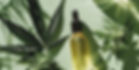 weed-leaves-oil-product-still-life (1)_edited.jpg